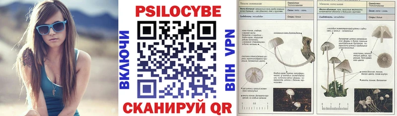 Купить где  Соль-Илецк  Псилоцибиновые грибы ЛСД 