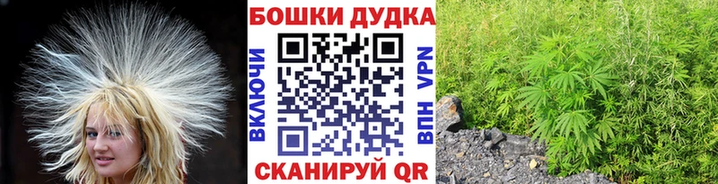 МАРИХУАНА VHQ  Купить закладки  Соль-Илецк 